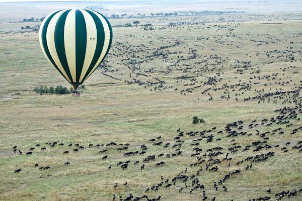 View of the Great Migration via hot air balloon