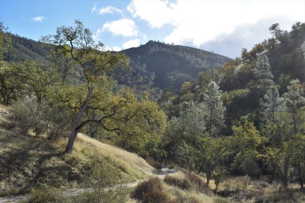 Condor Gulch in Pinnacles National Park