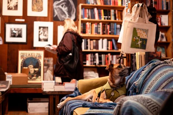 Brandy, at the Henry Miller Memorial Library in Big Sur