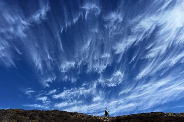 Wilder Ranch Forest in Santa Cruz, California