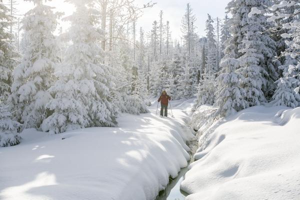 Cross-country skiing in Harz