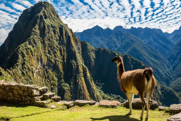 Machu Picchu, Peru