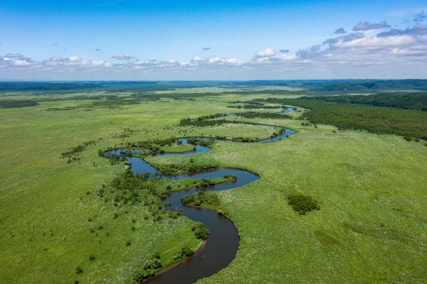 Kushiro Wetland National Park