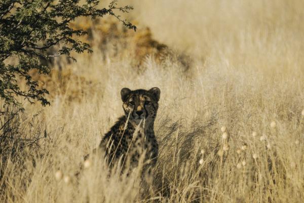 Our Habitas Namibia