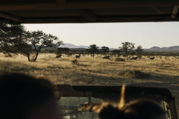 Our Habitas Namibia