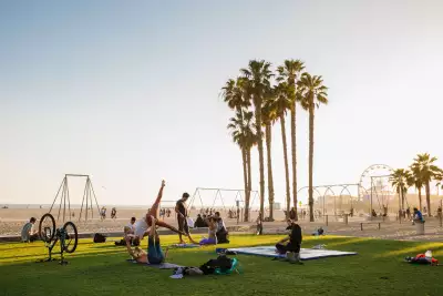 Palm trees in Santa Monica