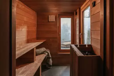 Sauna, Usonia