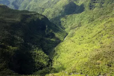An aerial shot of the Black River Gorges