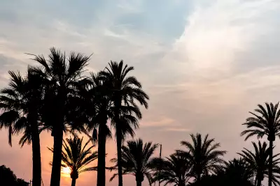Bijou Plage Experimental sunset