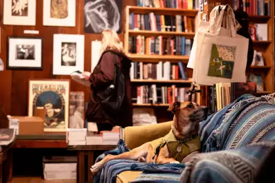 Brandy, at the Henry Miller Memorial Library in Big Sur