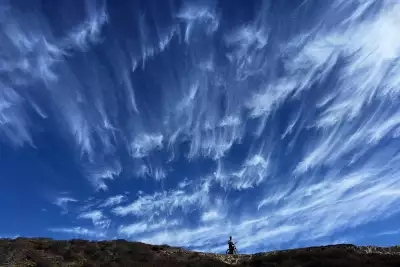 Wilder Ranch Forest in Santa Cruz, California