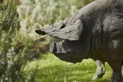 The eponymous animal