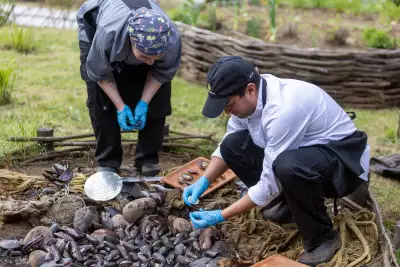 Shelling mussels at Refugio Chilo&eacute;