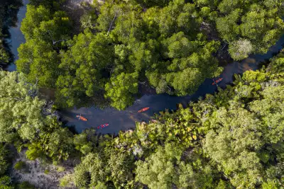 The limestone karsts and lagoons of Phang Nga