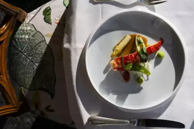 Dining at Mistral