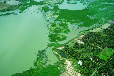 A verdant landscape of lakes and palm trees as seen from a nine- seater seaplane flying from Hatton to Yala National Park
