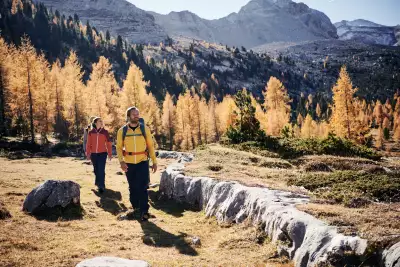 The golden light in the Dolomites in autumn