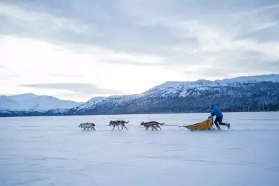 A man mushes sled dogs across a frozen lake
