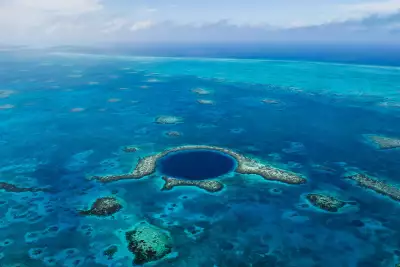 Belize reef