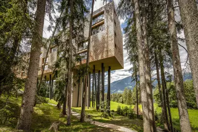 My Arbor, South Tyrol, Italy
