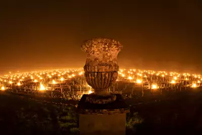 Fires lit to ward off a late frost in Val d'Orcia