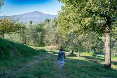 Wandering the orchards underneath Monte Amiata