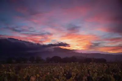 The sunset over Tenuta di Trinoro