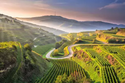 The Texaspass is a scenic mountain pass and popular viewpoint located in Vogtsburg im Kaiserstuhl in the Baden-Württemberg region of Germany