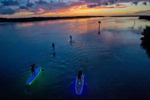 ILLUMINATED PADDLEBOARDING in KEY LARGO