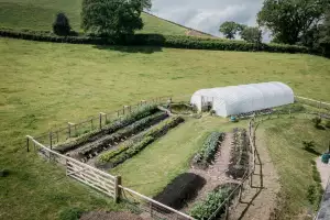The Glebe kitchen garden