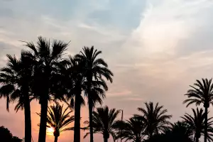 Bijou Plage Experimental sunset