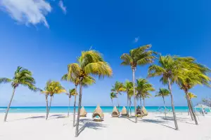 Hightail it to the beach Hightail it to the beach