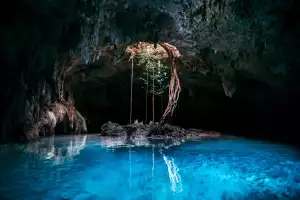 Visit the cenotes Visit the cenotes