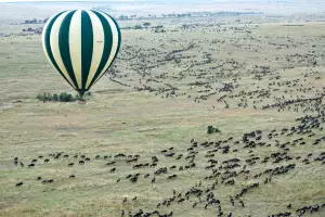View of the Great Migration via hot air balloon View of the Great Migration via hot air balloon