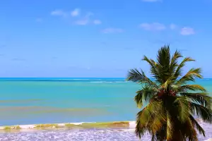 Southern Bahia Southern Bahia