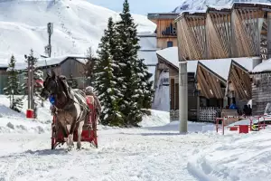A horse cart in Avoriaz A horse cart in Avoriaz