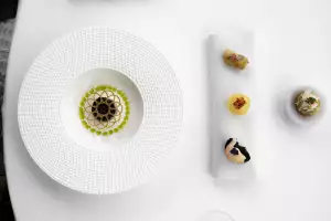 The first course at Mistral