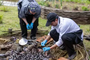 Shelling mussels at Refugio Chiloé