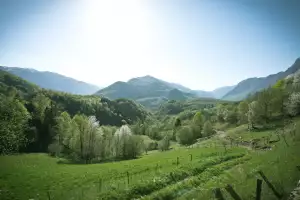 Hiša Franko sits on abundant land, which blooms into a multitude of greens Hiša Franko sits on abundant land, which blooms into a multitude of greens