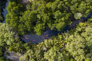 The limestone karsts and lagoons of Phang Nga