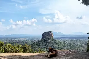 Pidurangala, Sri Lanka