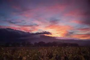 The sunset over Tenuta di Trinoro