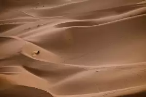 Motor Adventures