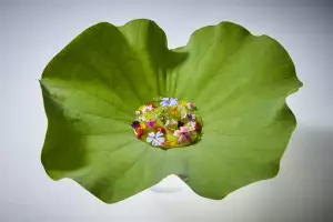 Gaggan in Bangkok, Thailand