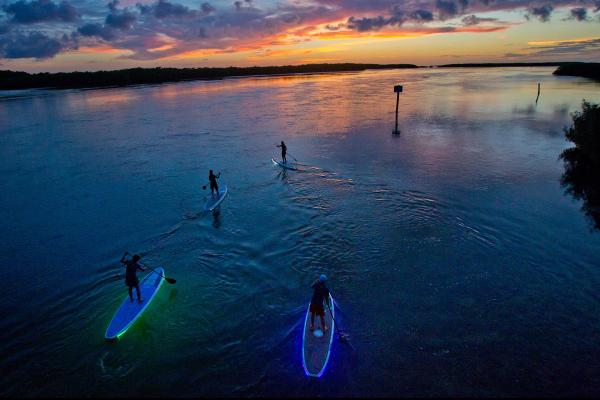 ILLUMINATED PADDLEBOARDING in KEY LARGO