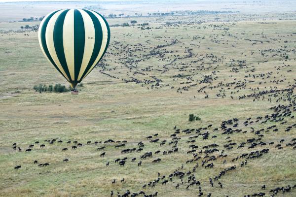 View of the Great Migration via hot air balloon View of the Great Migration via hot air balloon
