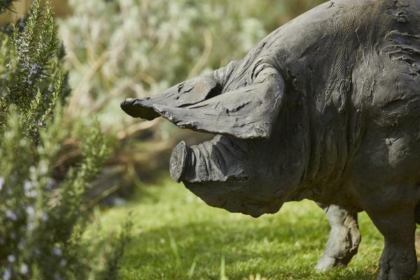 The eponymous animal The eponymous animal