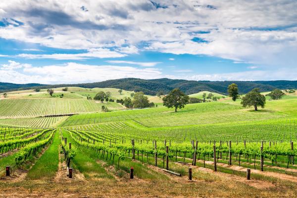 Barossa, South Australia Barossa, South Australia