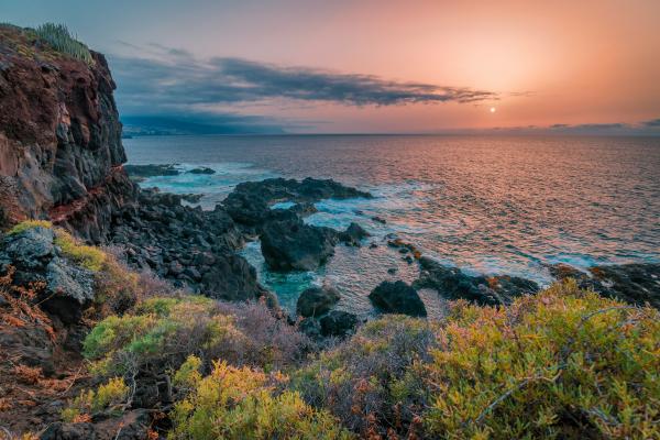 The coast of Tenerife The coast of Tenerife