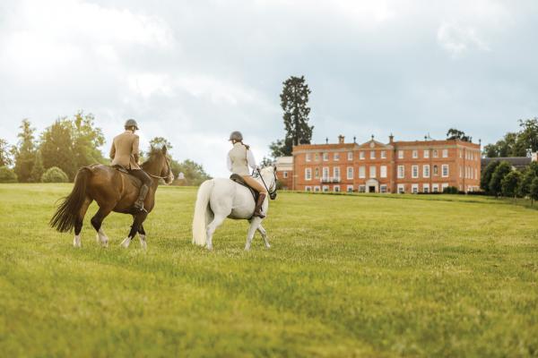 Equestrian activities